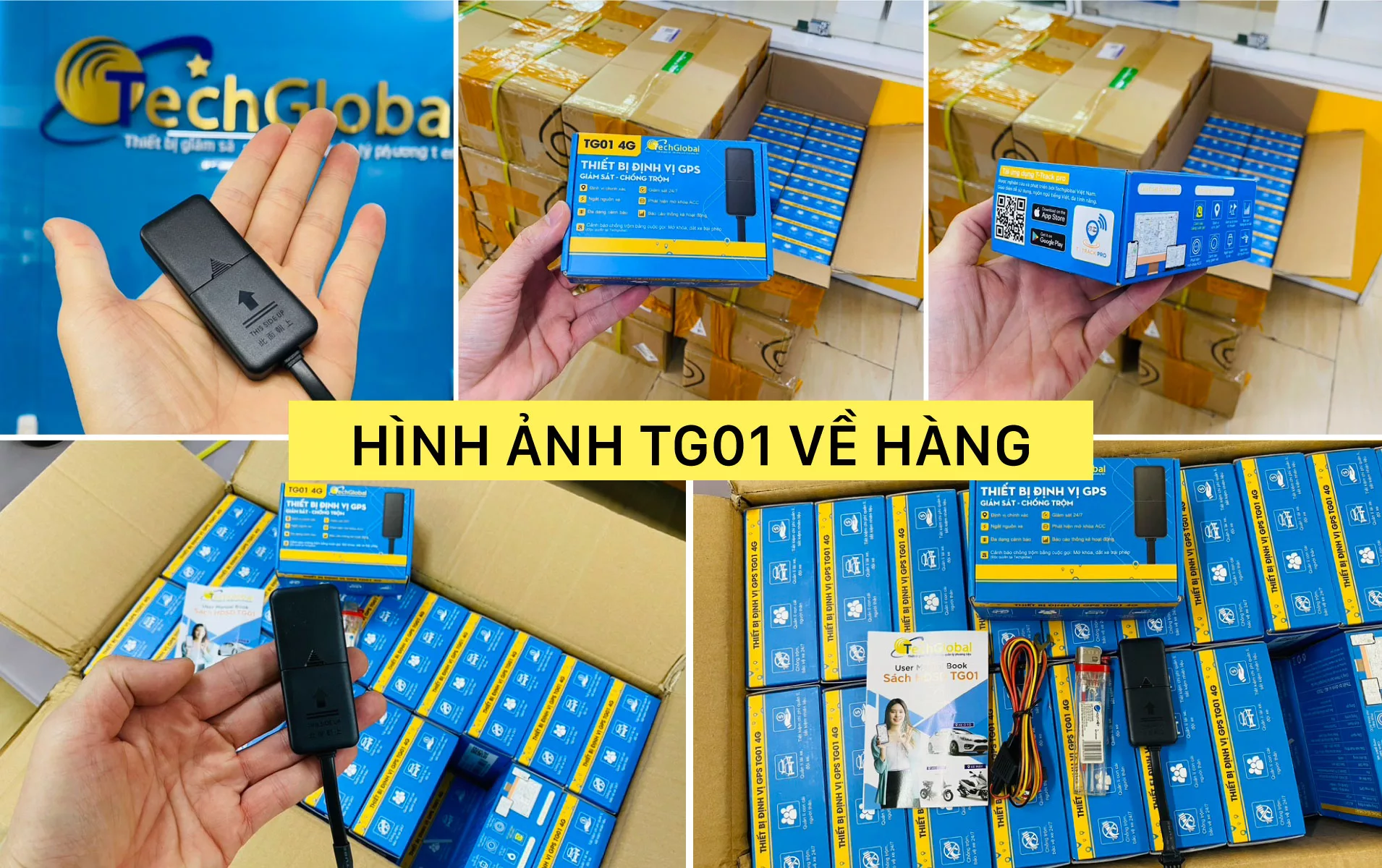 2019/p1-anh-hang-ve-TG01.jpg
