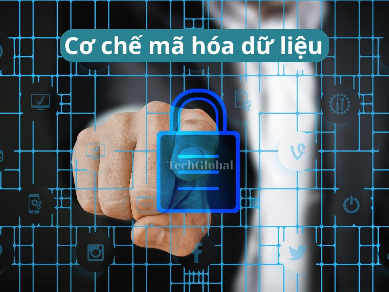 Cơ chế mã hóa dữ liệu