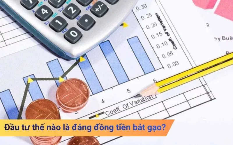Đầu tư thế nào là đáng đồng tiền bát gạo?