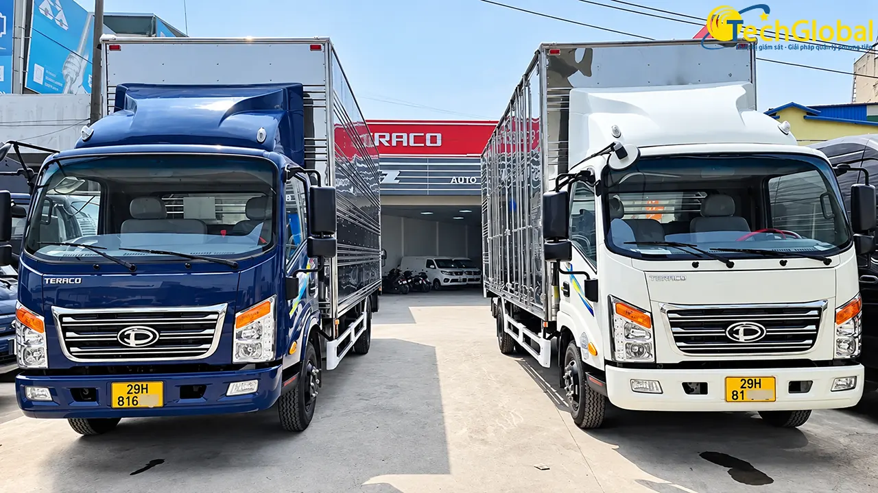 Xe biển vàng là gì